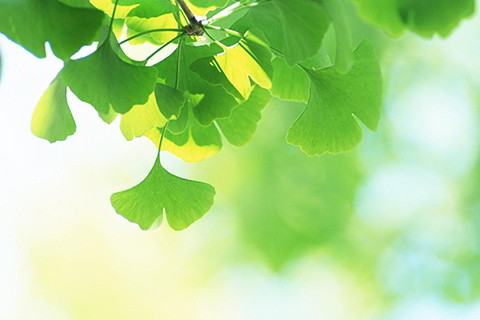 喜用神为水适合什么职业 水为用神的八字做什么行业好