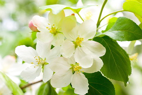 能提高学习成绩的书桌,提高孩子学习成绩的书桌风水