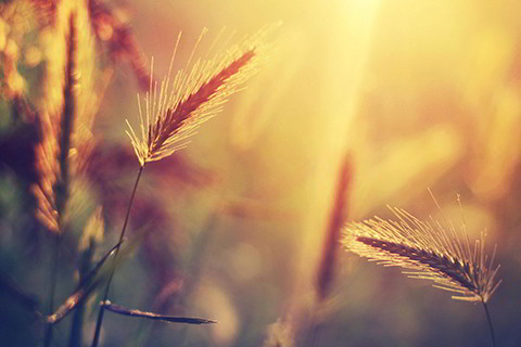 如何断定八字里配偶的年龄 八字算自己另一半相差多少岁