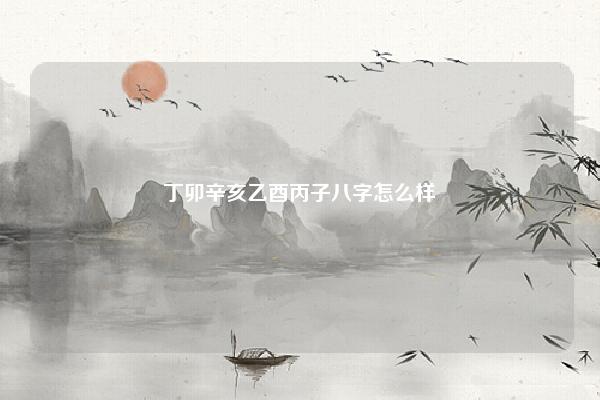 丁卯辛亥乙酉丙子八字怎么样 八字庚申己卯乙酉庚辰女的 命理 第1张