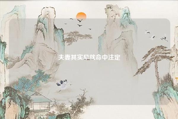 夫妻其实早就命中注定 八字,八字婚姻注定 命理 第1张
