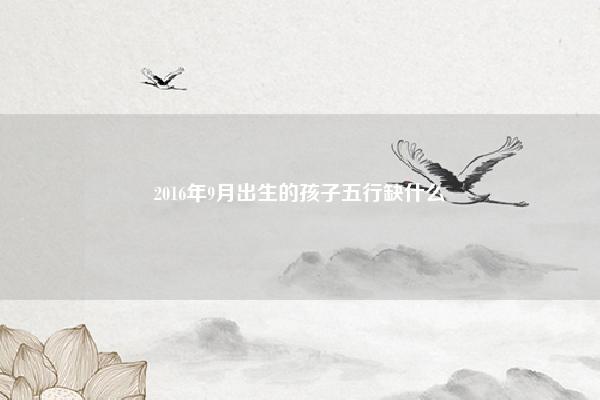 2016年9月出生的孩子五行缺什么,2016年9月份五行属什么 命理 第1张