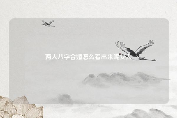 两人八字合婚怎么看出来呢女人,两人八字合不合怎么看 命理 第1张